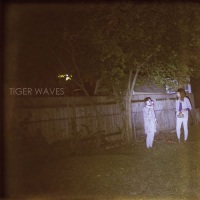 tiger_waves_tippy_beach